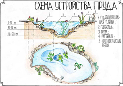 Схема устройства пруда